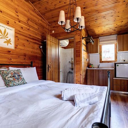 Chalet Parea Metamorfosi  Luaran gambar